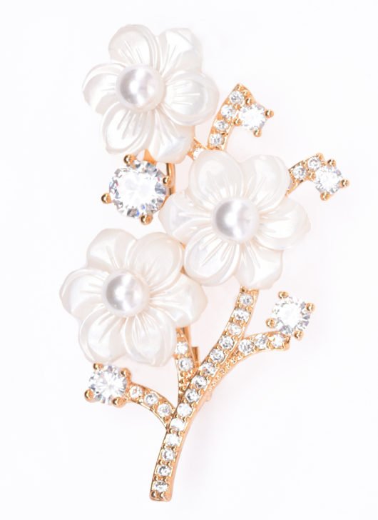 White Seashell